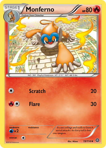 Monferno (19/114) [XY: Steam Siege]